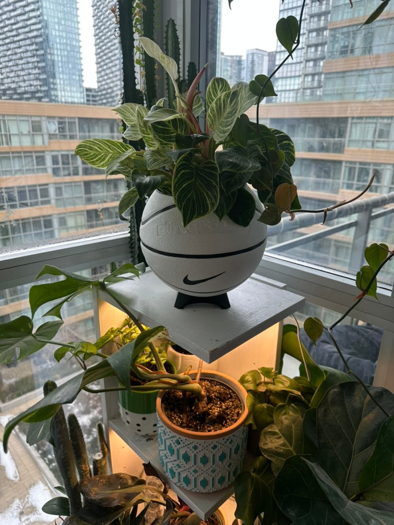 Nike Large Basketball Planter (White & Black)
