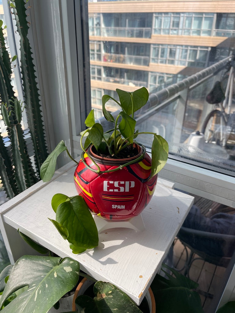 Mini Soccer Ball Planter (Spain)