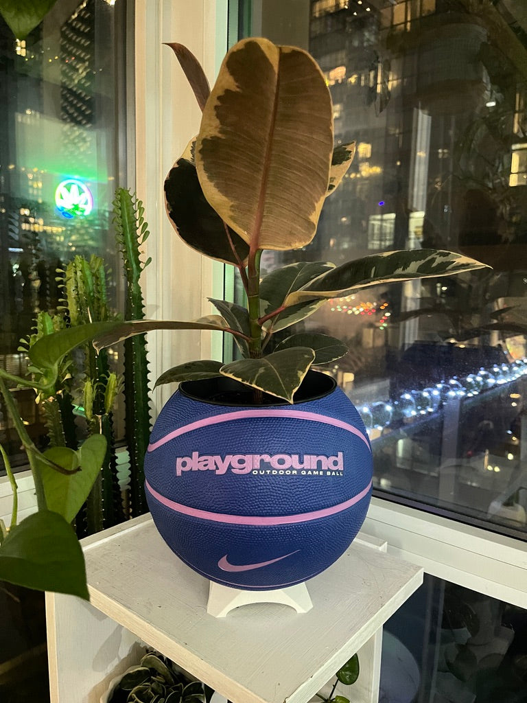 Nike Large Basketball Planter (Blueberry)