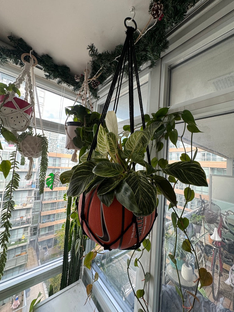 Nike Large Basketball Hanging Planter (Black Macrame - Original Reversed)
