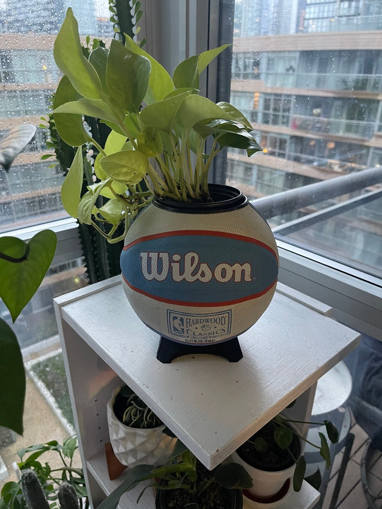 Mini Basketball Planter (San Diego Clippers)
