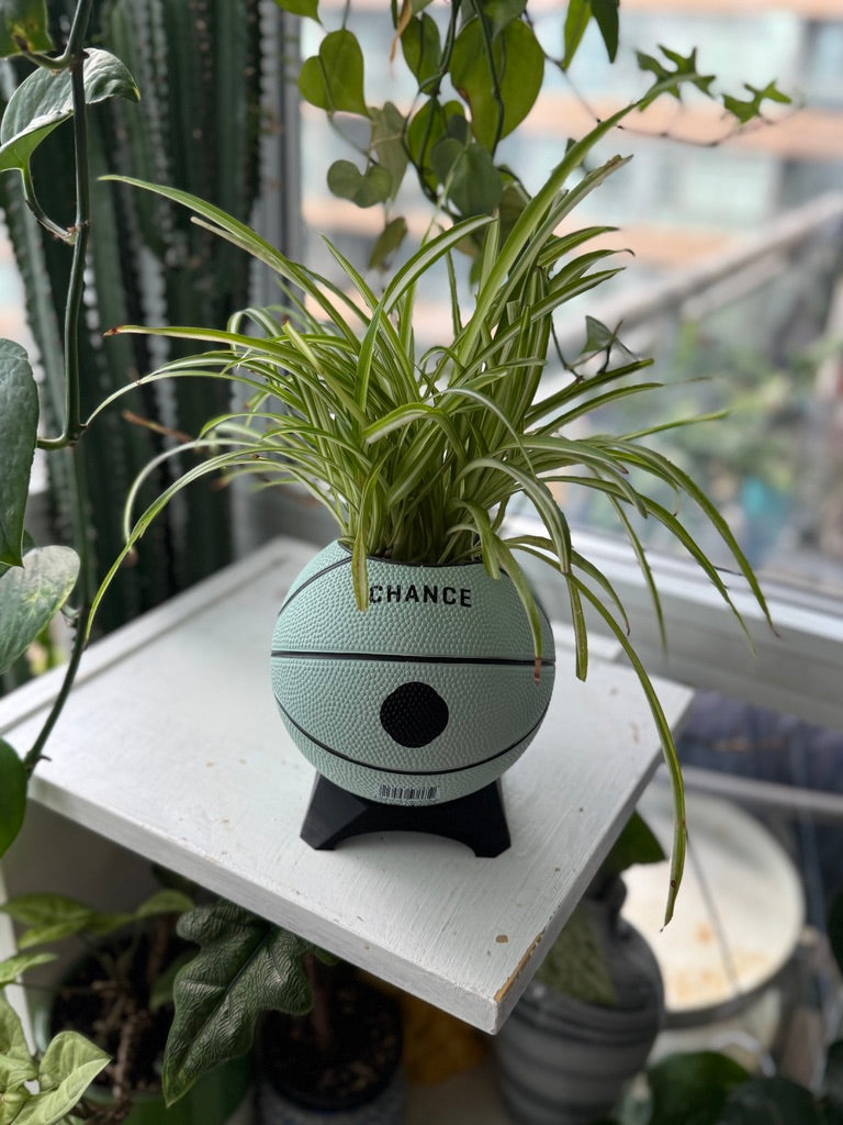 Ultra-Mini Basketball Planter (Mouse)