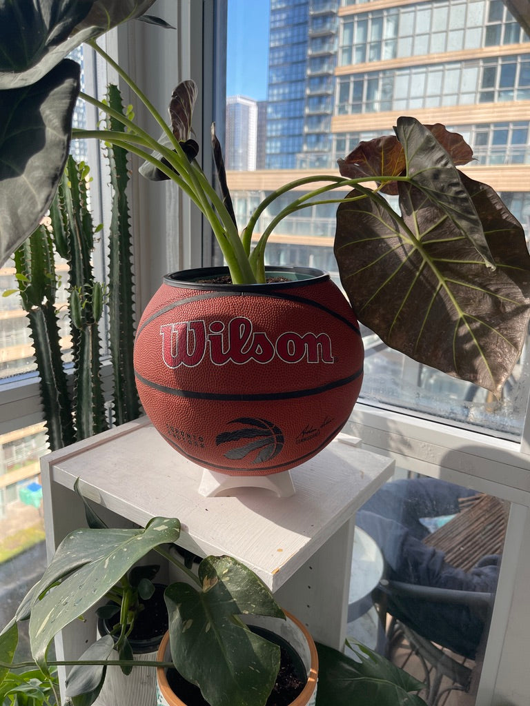 Large Basketball Planter (Toronto Raptors Original)
