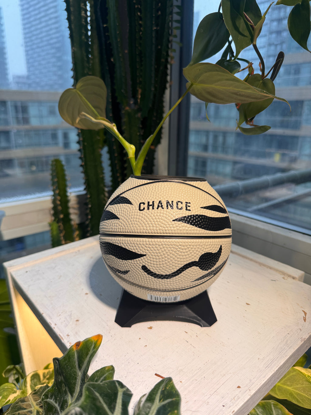 Ultra-Mini Basketball Planter (Zebra)