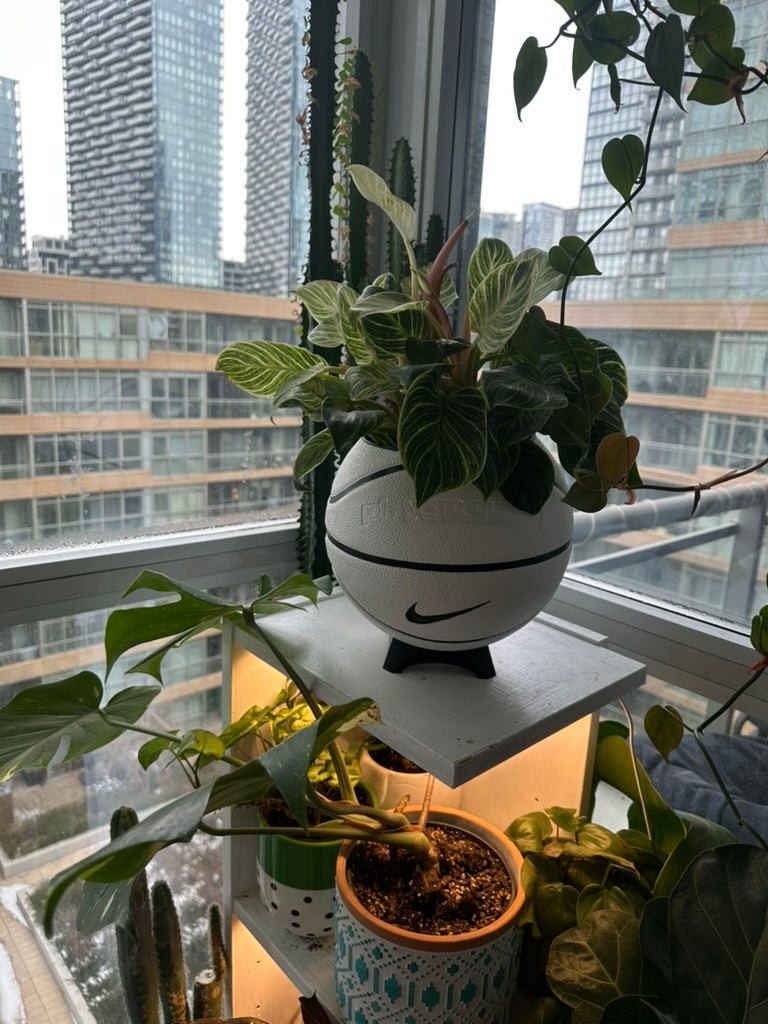 Nike Large Basketball Planter (White & Black)