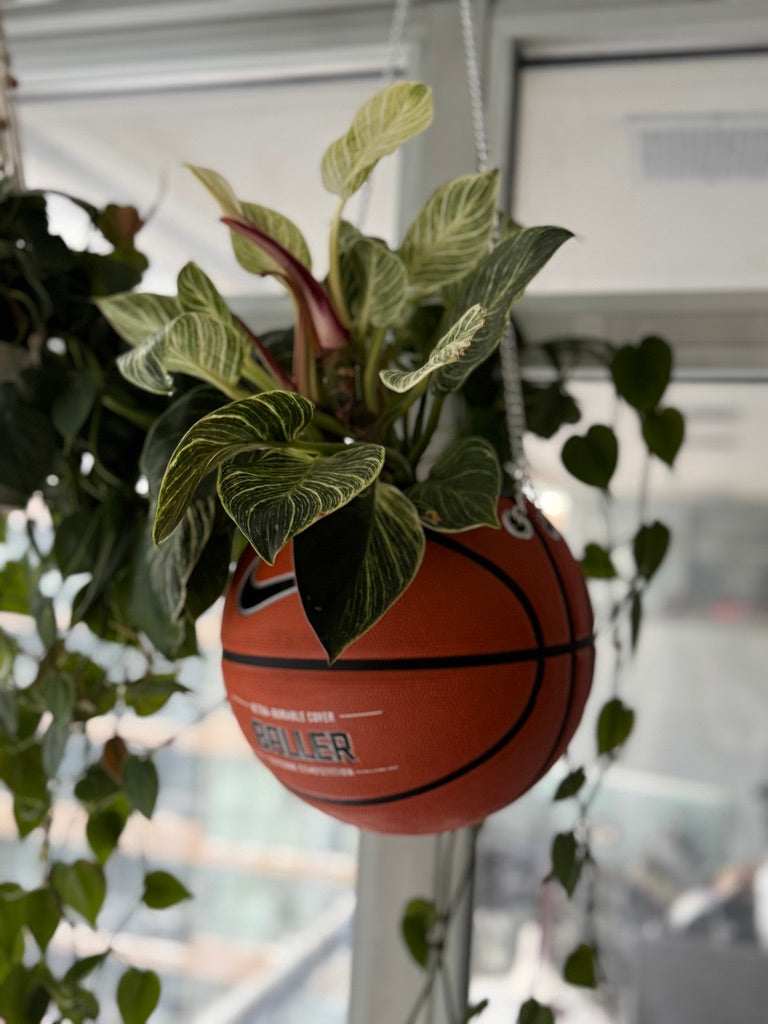 Nike Large Basketball Hanging Planter (Baller - Silver Chain)