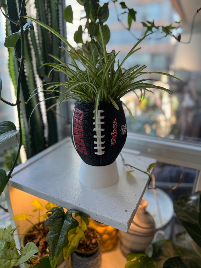 Mini Football Planter (New York Giants)