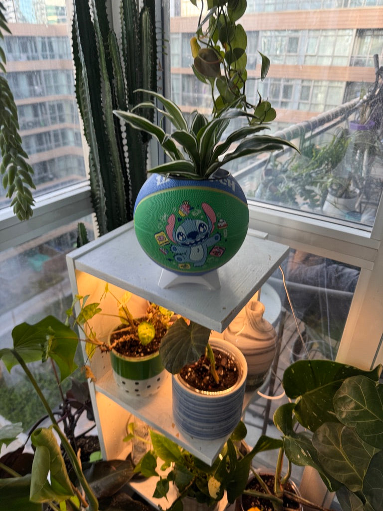 Mini Basketball Planter (Stitch)