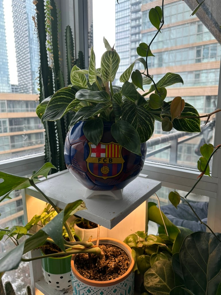 Large Soccer Ball Planter (FC Barcelona OG)