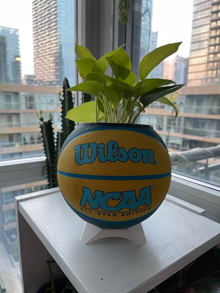Mini Basketball Planter (NCAA Yellow)