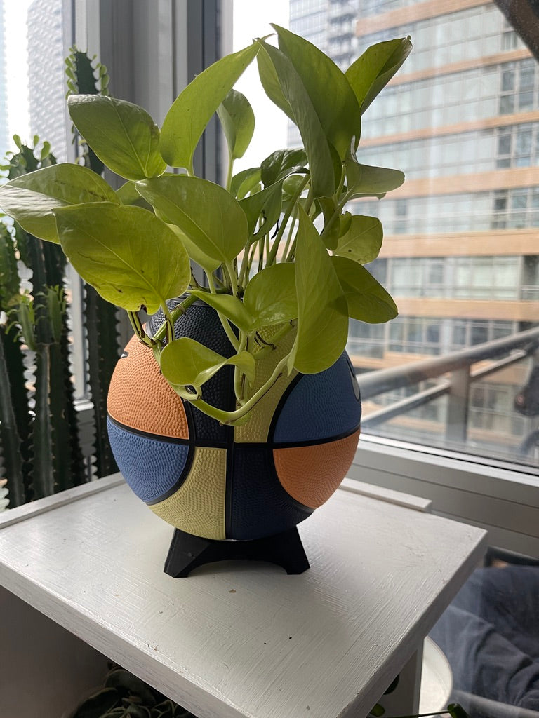 Nike Mini Basketball Planter (Elementary)