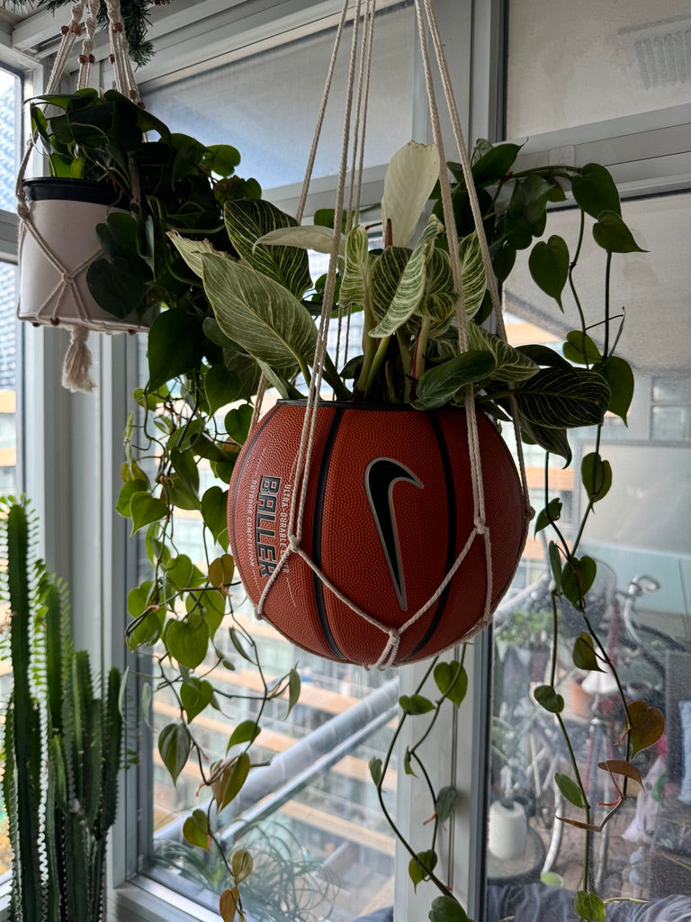 Nike Large Basketball Hanging Planter (White Macrame - Original Reversed)