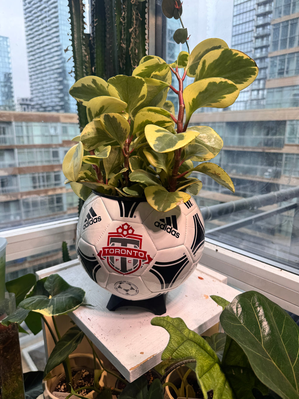 Large Soccer Ball Planter (Toronto FC)