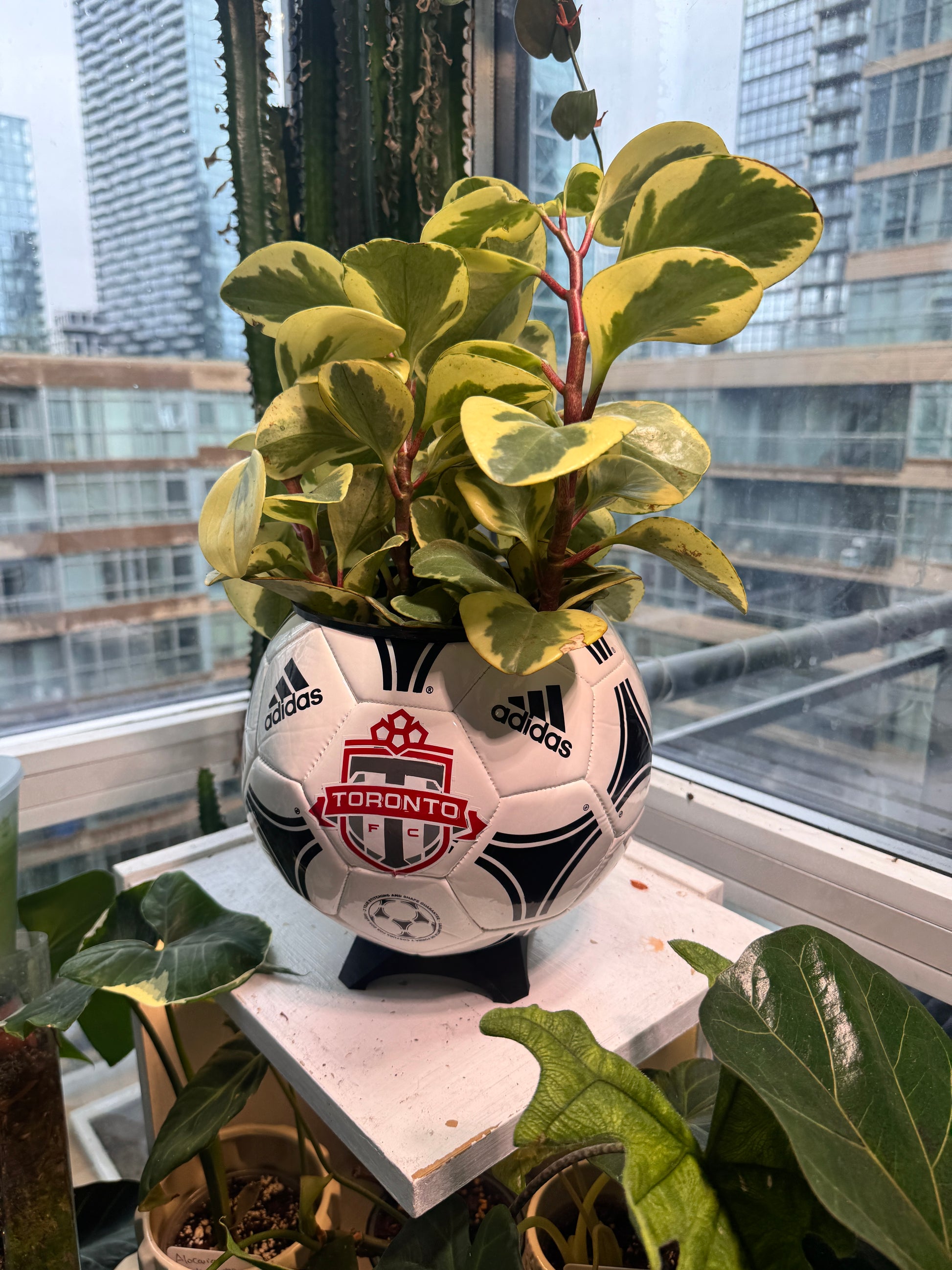 Large Soccer Ball Planter (Toronto FC)
