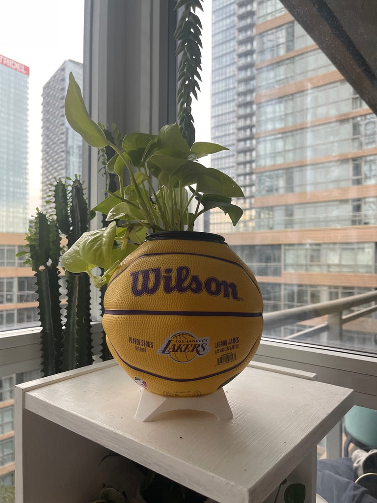 Mini Basketball Planter (Lebron James)