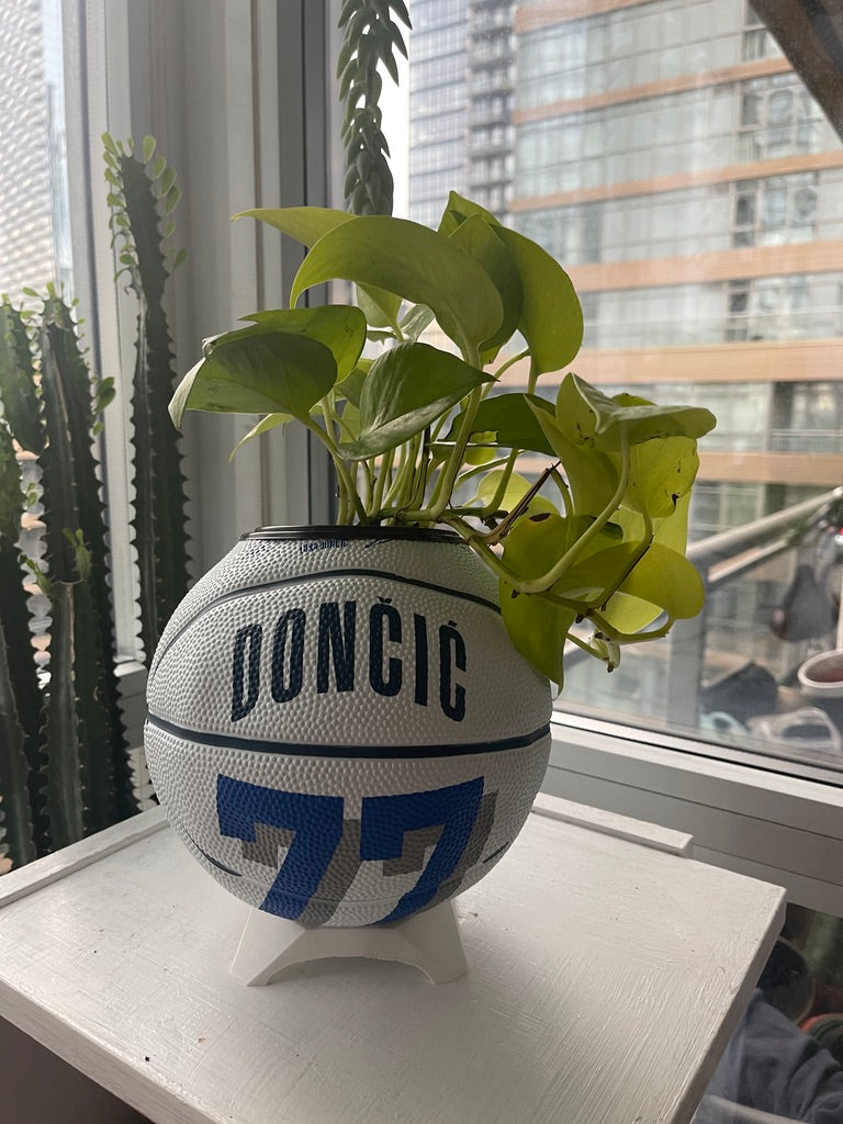 Mini Basketball Planter (Luka Doncic)