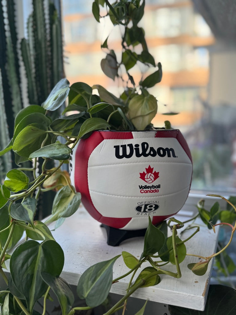 Large Volleyball Planter (Volleyball Canada)