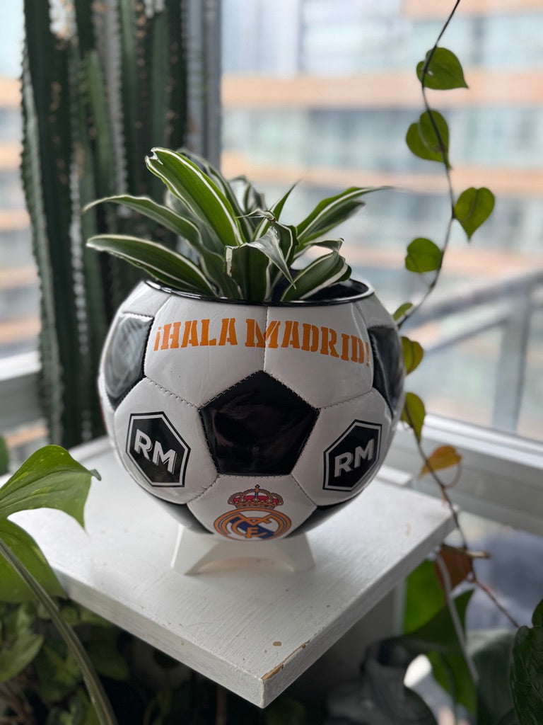 Large Soccer Ball Planter (Real Madrid CF)
