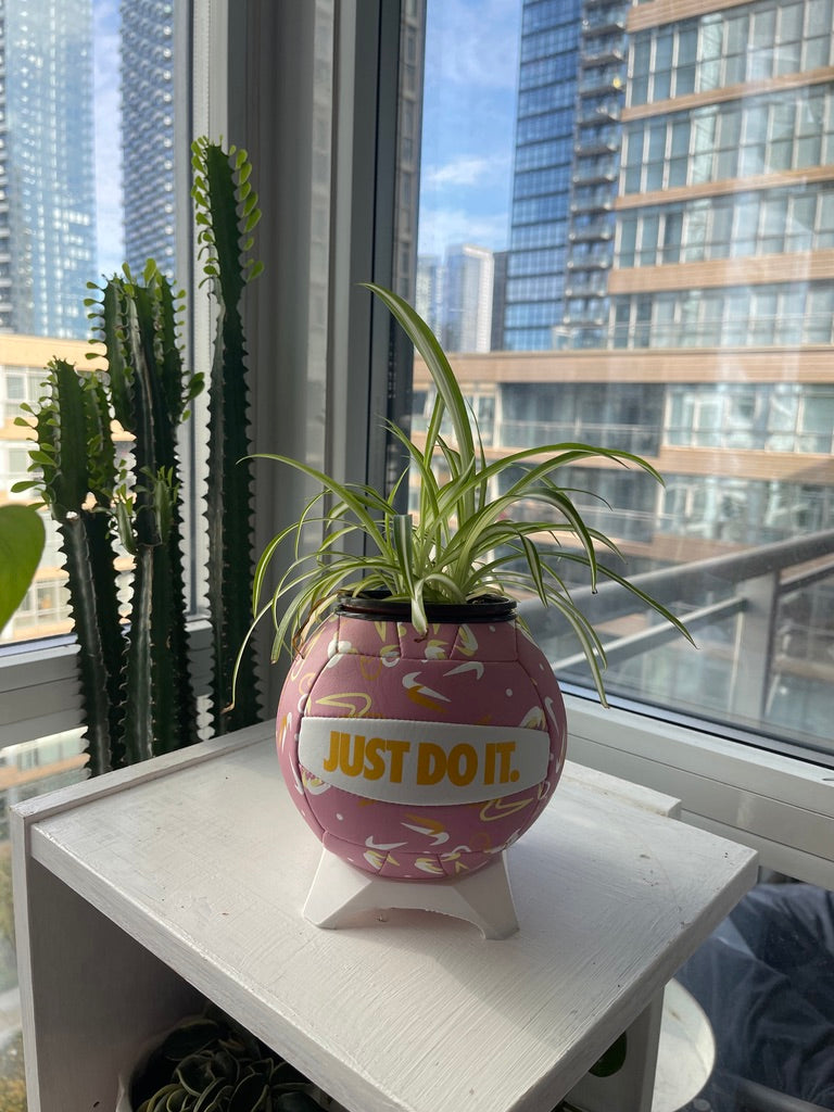 Nike Mini Volleyball Planter (Pink Swoosh)