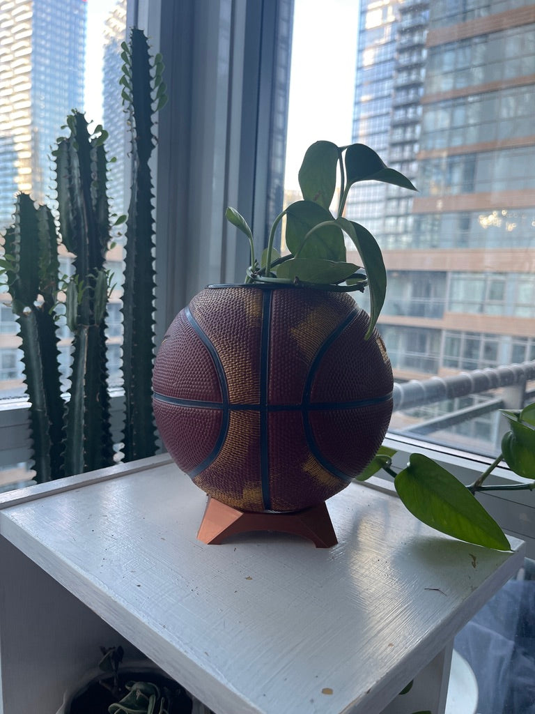 Nike Mini Basketball Planter (Lebron James)