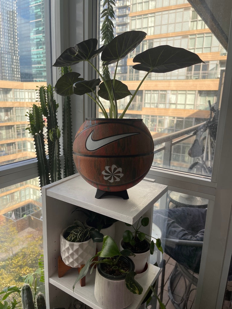 Nike Large Basketball Planter (The OG Graffiti)