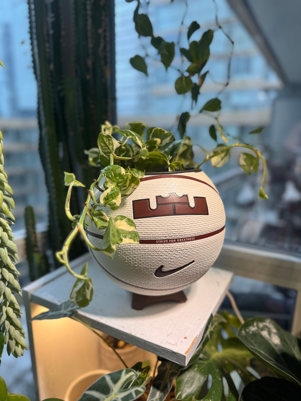 Nike Large Basketball Planter (LeBron King Brown & White)