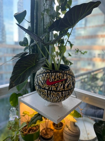 Nike Large Basketball Planter (Cheetah Zebra)