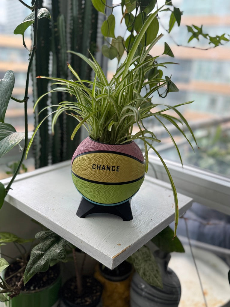Ultra-Mini Basketball Planter (Sherbet Rainbow)