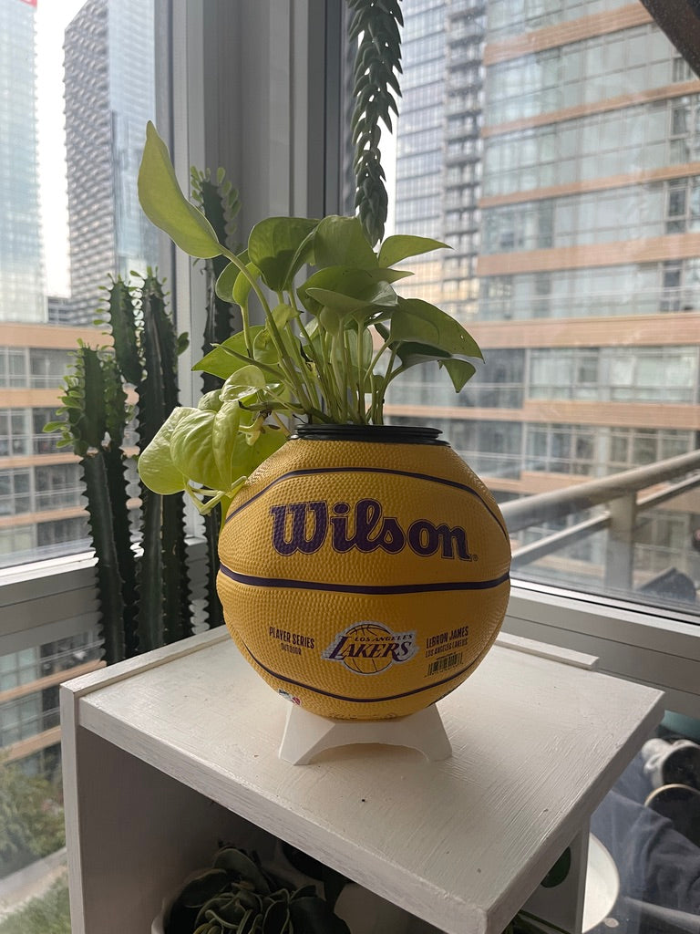 Mini Basketball Planter (Lebron James)