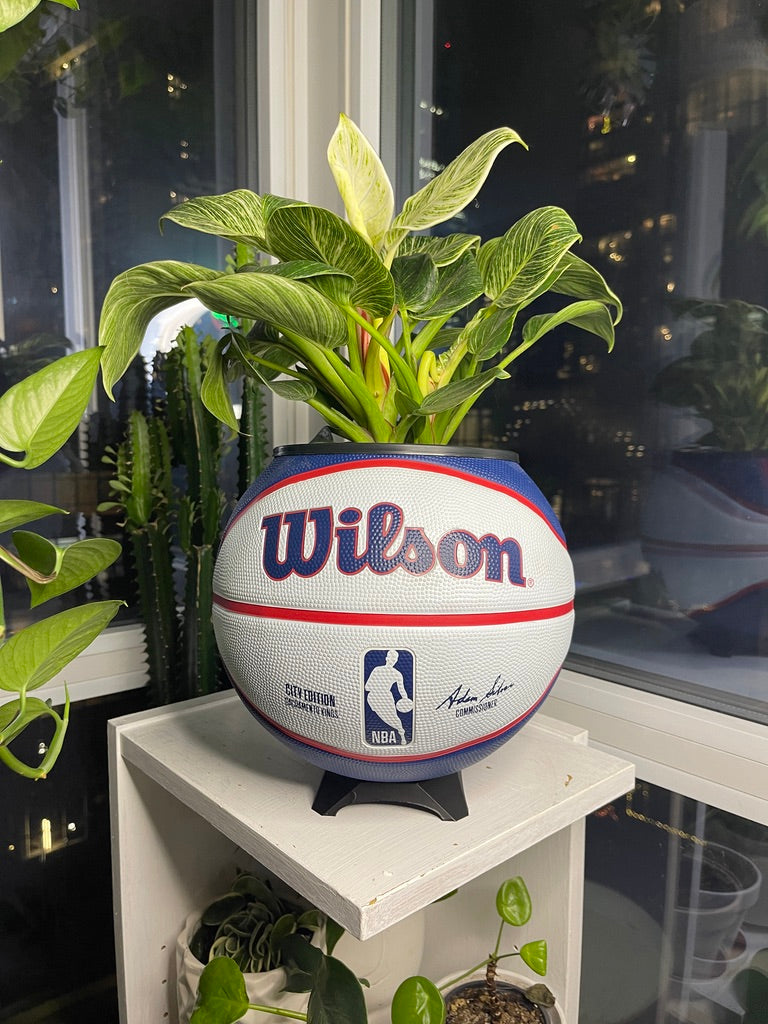 Large Basketball Planter (Sacramento Kings)