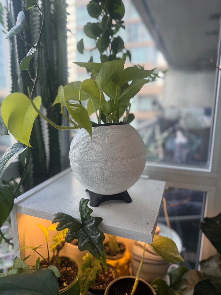 Nike Mini Basketball Planter (White)