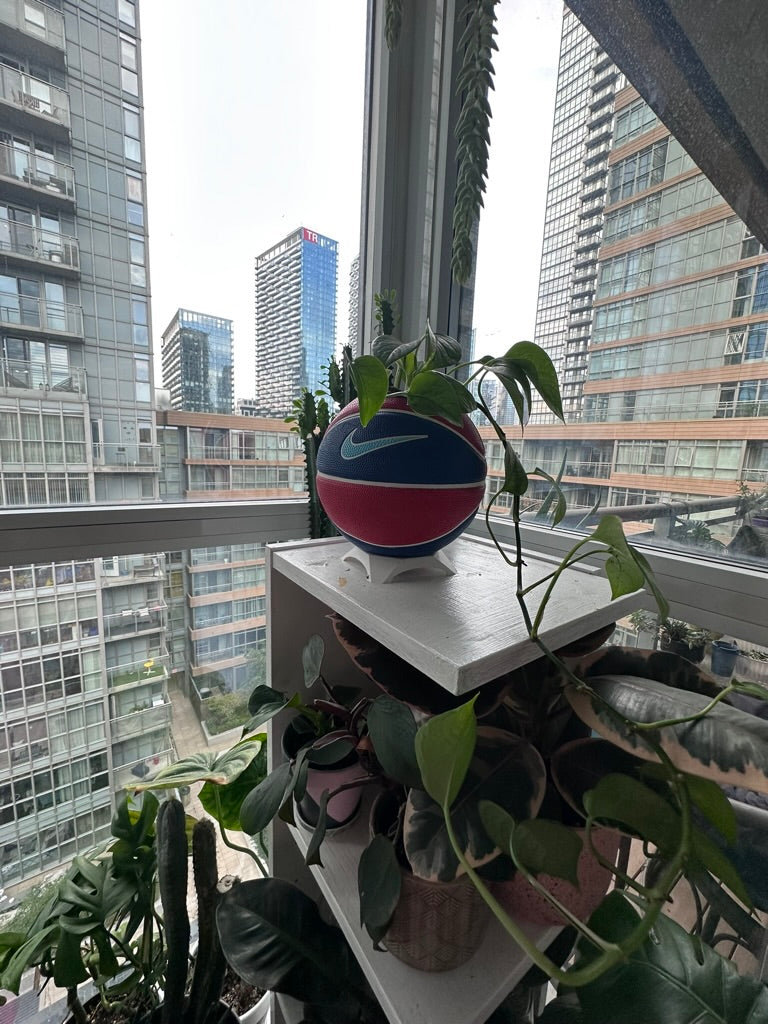 Nike Mini Basketball Planter (Baby Blue, Red, & Blue)