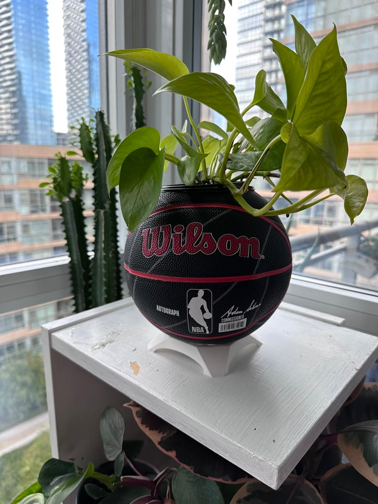 Mini Basketball Planter (Toronto Raptors Autograph)