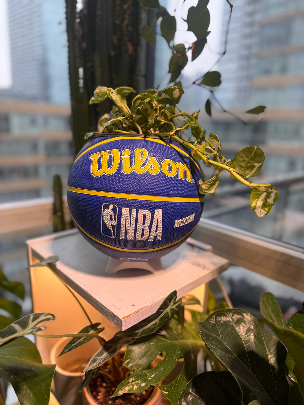 Large Basketball Planter (Golden State Warriors)
