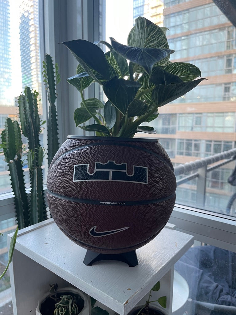 Nike Large Basketball Planter (LeBron Brown)