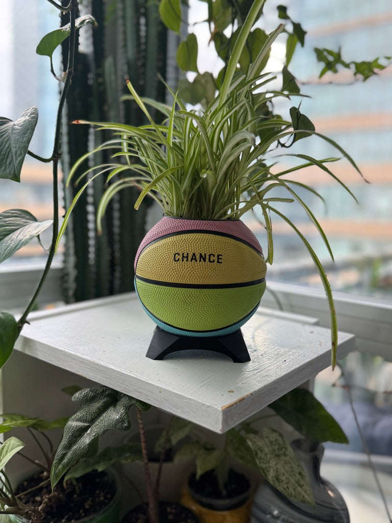 Ultra-Mini Basketball Planter (Sherbet Rainbow)