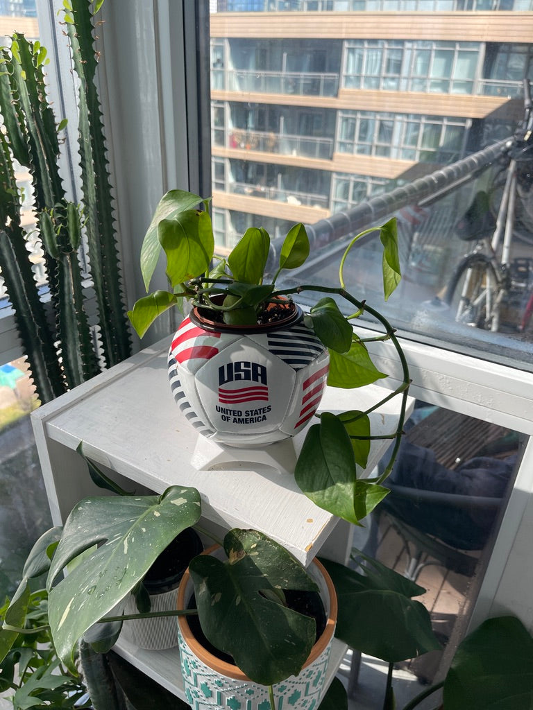 Mini Soccer Ball Planter (USA)