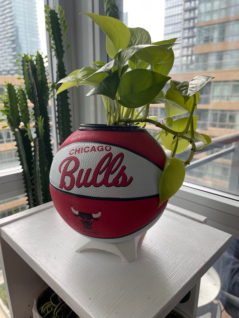 Mini Basketball Planter (Chicago Bulls)