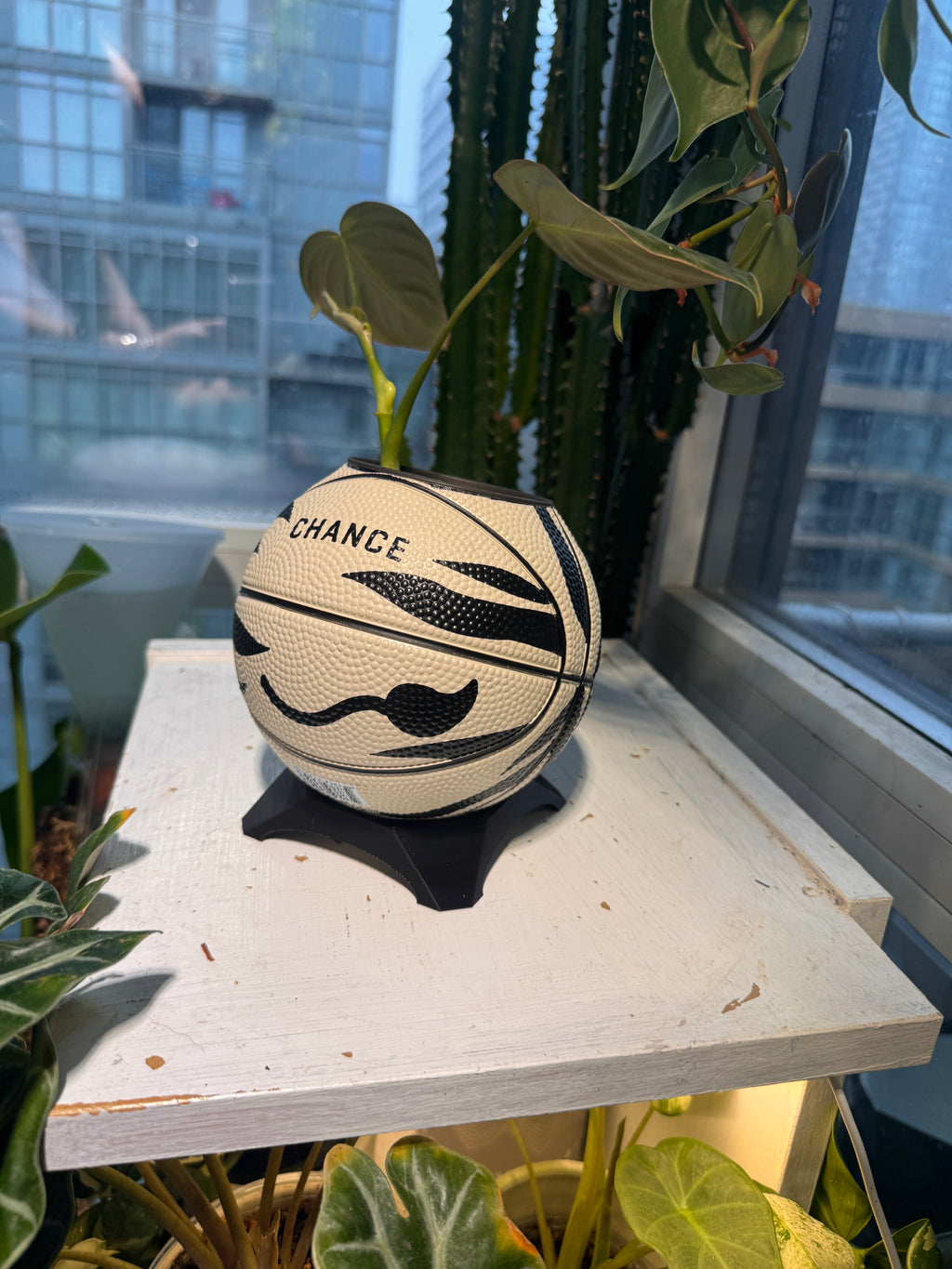 Ultra-Mini Basketball Planter (Zebra)