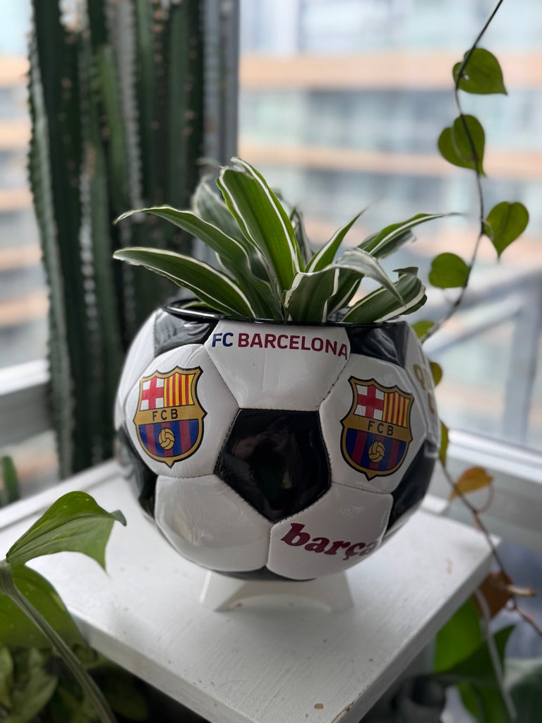 Large Soccer Ball Planter (FC Barcelona)