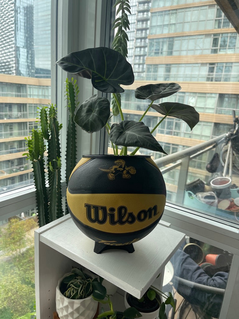 Large Basketball Planter (Toronto Raptors Gold Mascot)