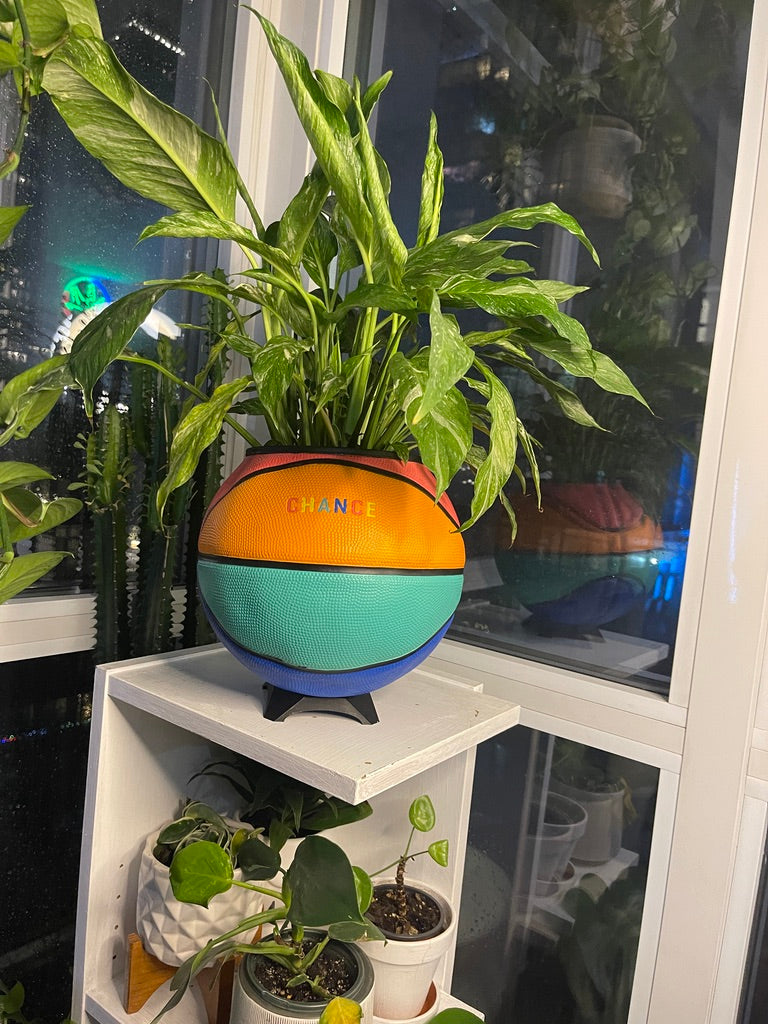 Large Basketball Planter (Chance - Rainbow)