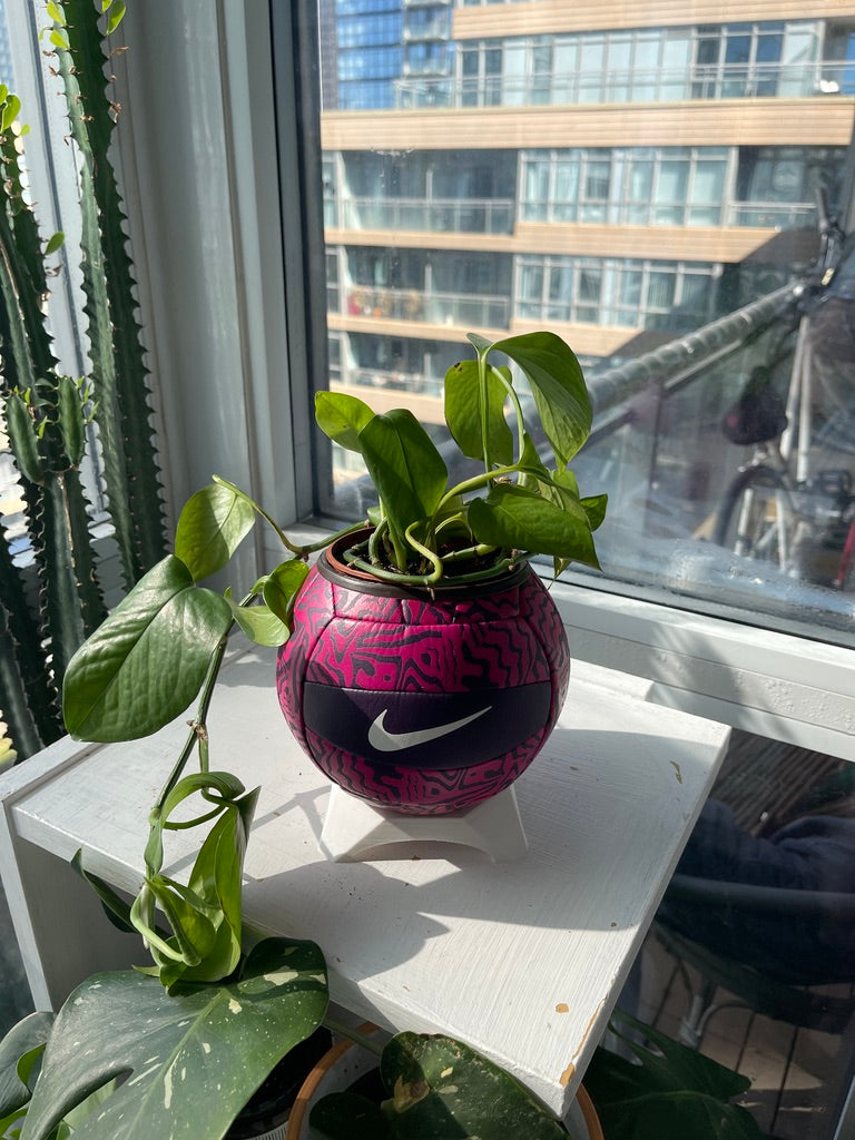 Nike Mini Volleyball Planter (Grape Juice)
