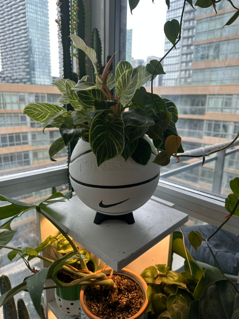 Nike Large Basketball Planter (White & Black)