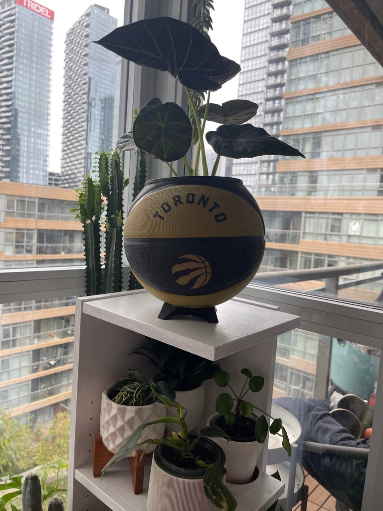 Large Basketball Planter (Toronto Raptors Gold)