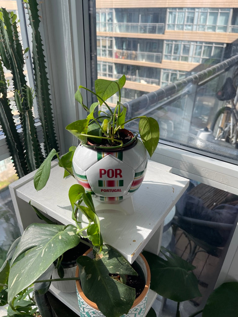 Mini Soccer Ball Planter (Portugal)