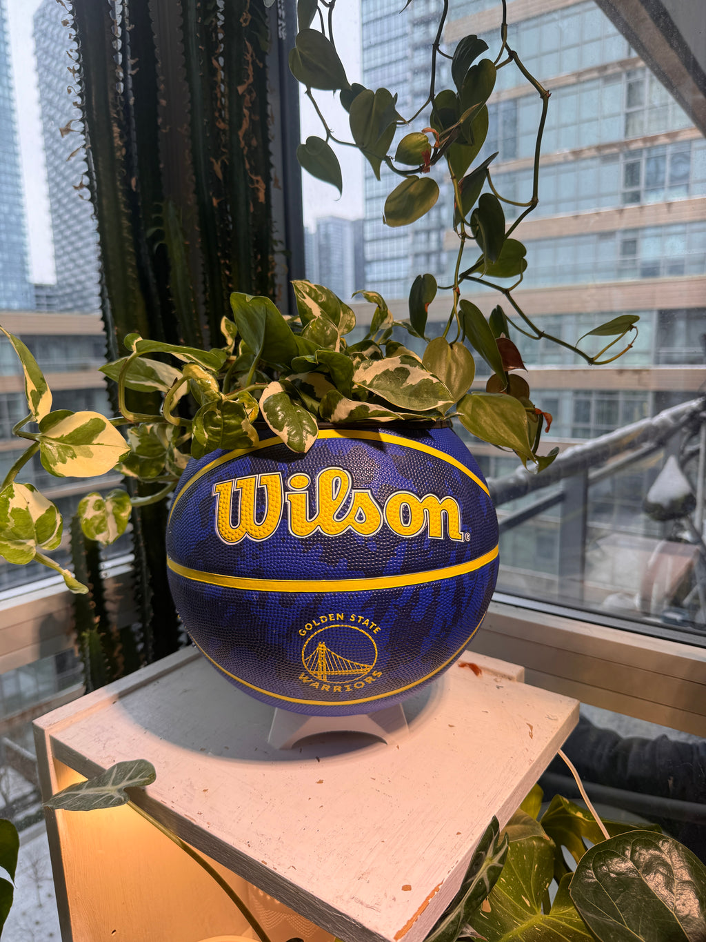 Large Basketball Planter (Golden State Warriors)