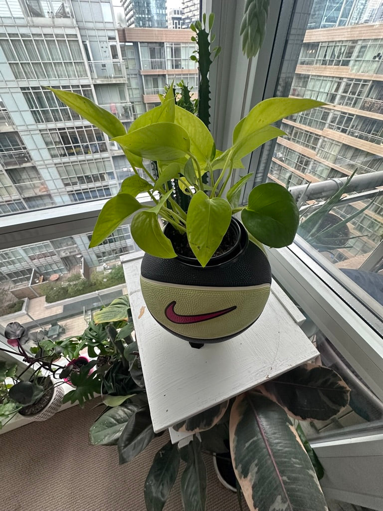 Nike Mini Basketball Planter (Lime Green, Black, & Red)