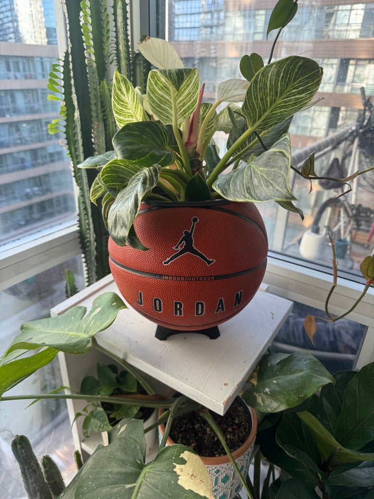 Nike Jordan Large Basketball Planter (Basic)