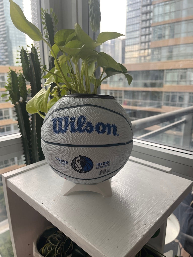 Mini Basketball Planter (Luka Doncic)